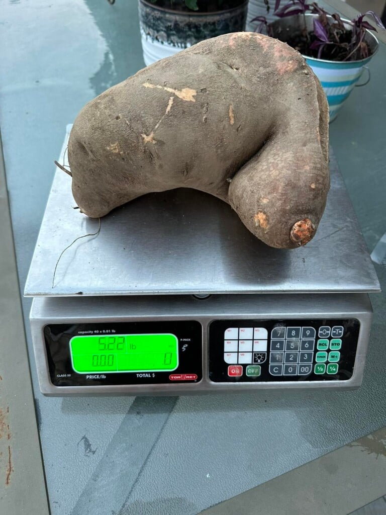 (Source: Silver Lake Farm Stand; Facebook)