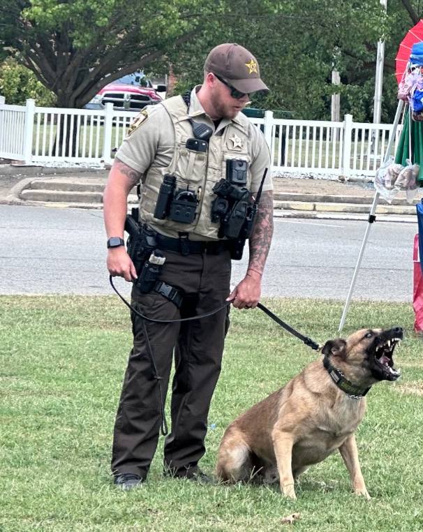 (Source: Franklin County Sheriff's Office/Facebook)