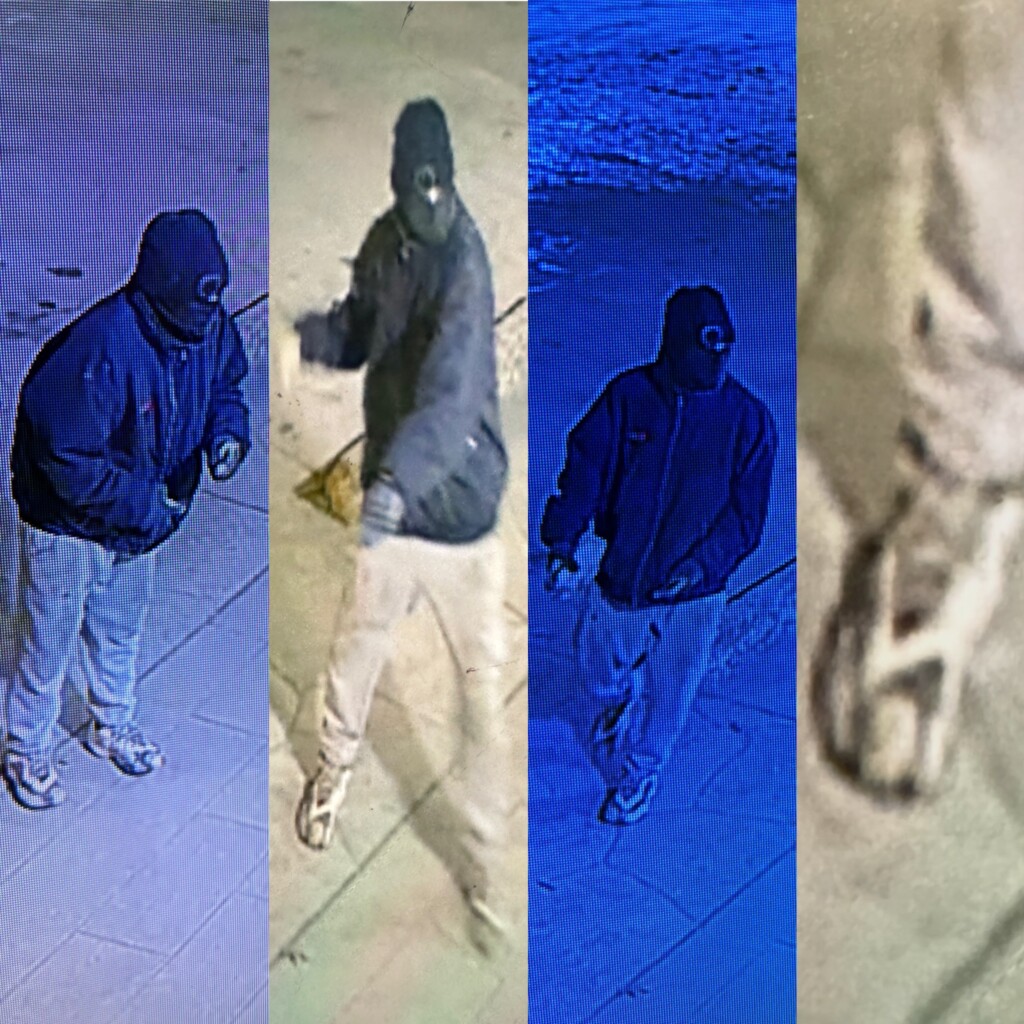 (Source: Williamson County Sheriff's Office/Facebook)