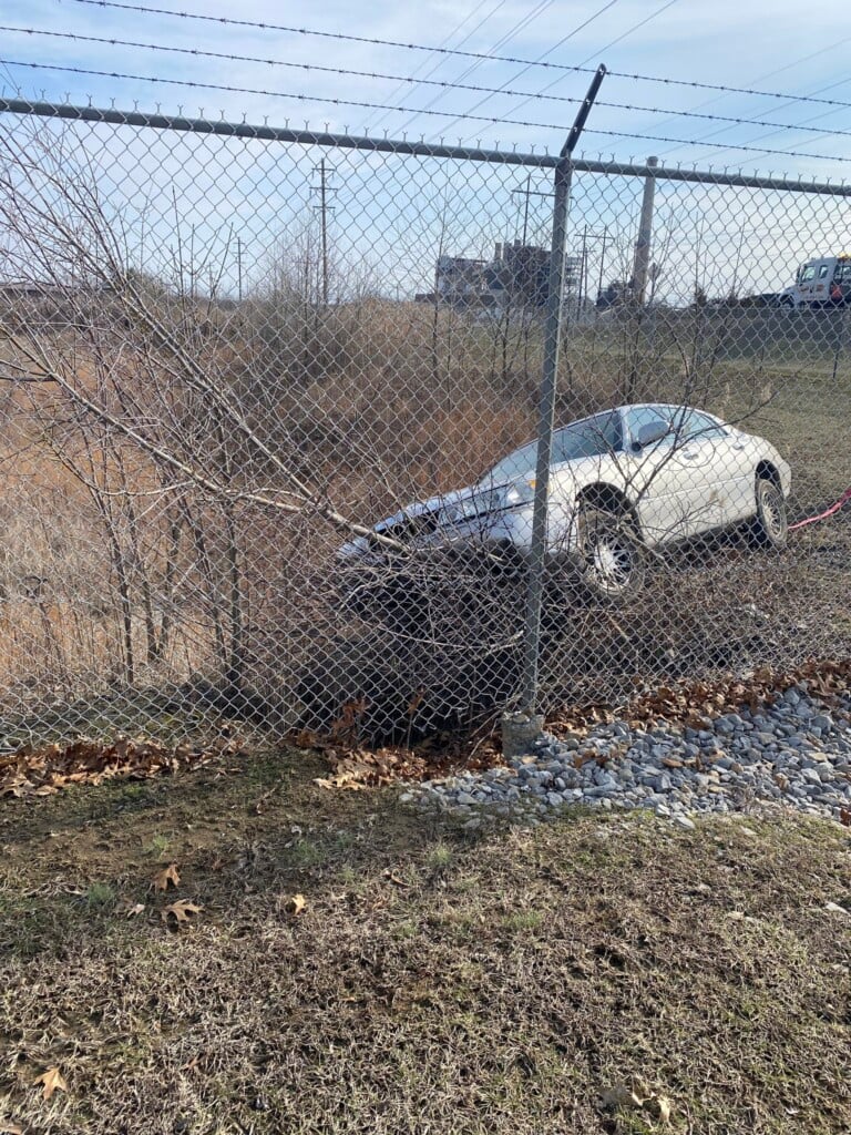 (Source: Williamosn County Sheriff's Dept. / Facebook)