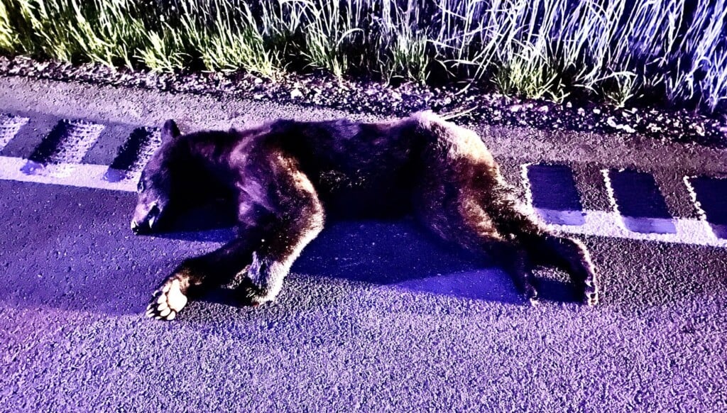 (Source: Missouri Department of Conservation)