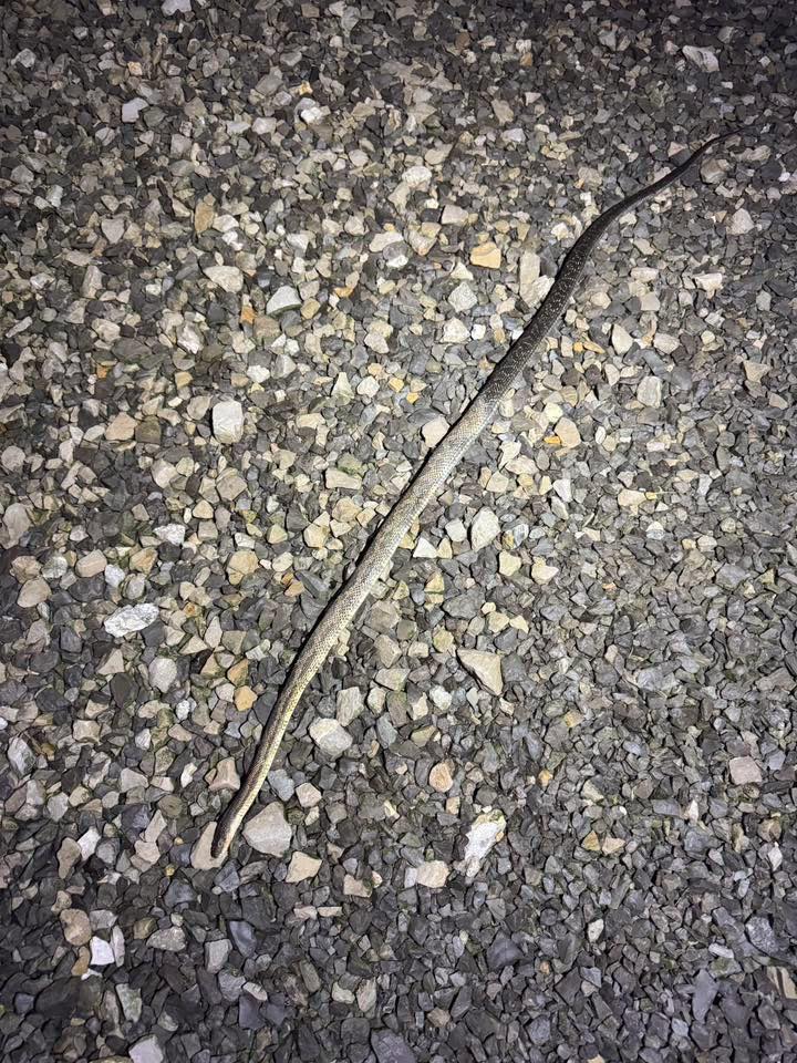 (Source: Leslie Jones/ Kennett Public Works)