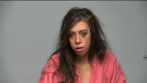 (Source: Livingston County Sheriff's Dept.)