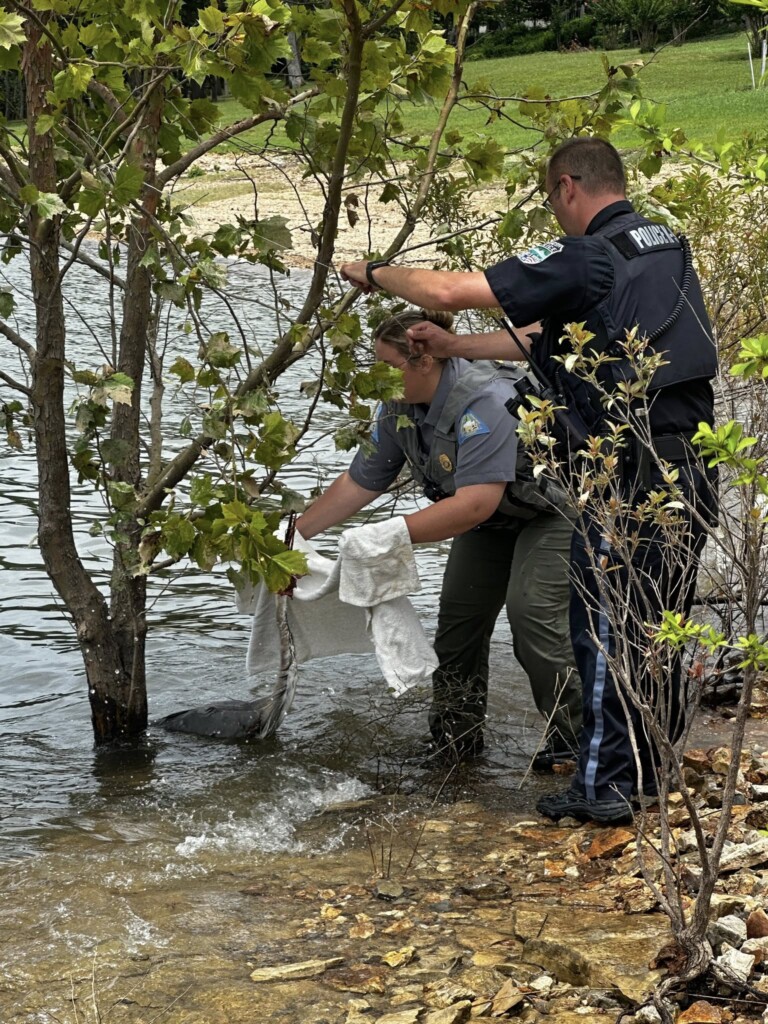 Source Missouri Department Of Conservation 1