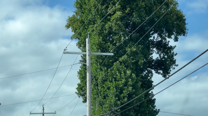 Ameren Missouri Offers Support Programs As Warm Summer Continues