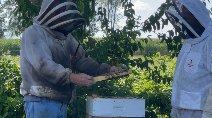 Rep, Jason Smith Suits Up For Beekeeping On His Annual Missouri Farm Tours