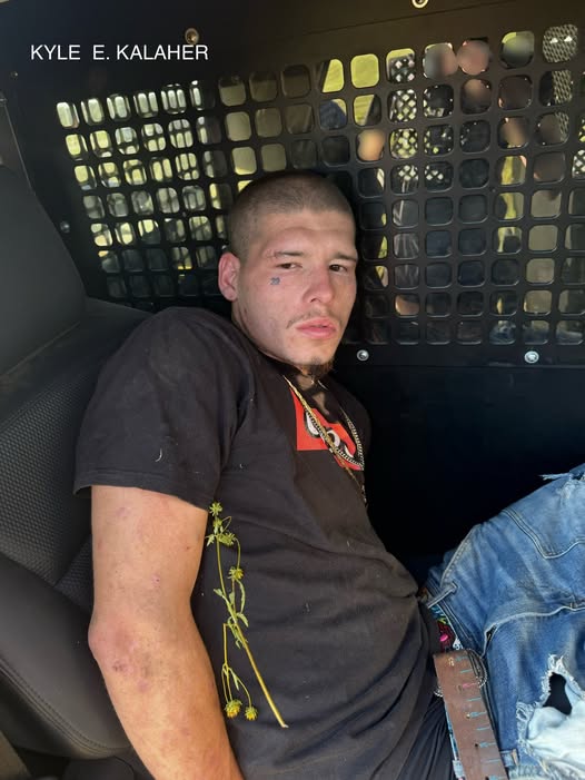 (Source: Williamson County Sheriff's Office)