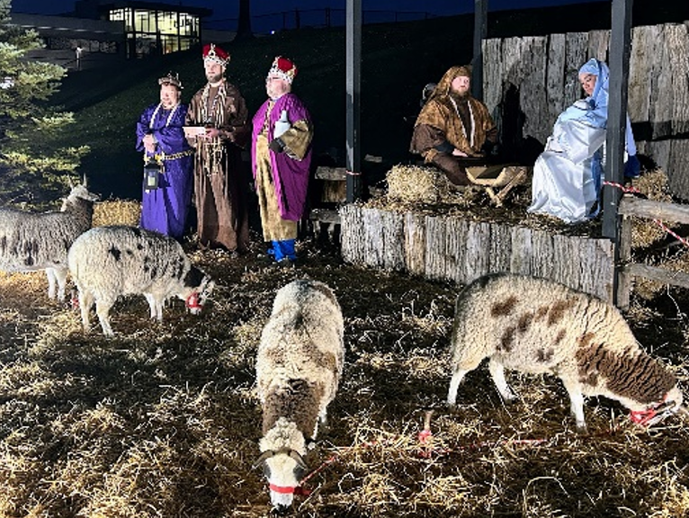 Screenshot 2025 11 20 144551