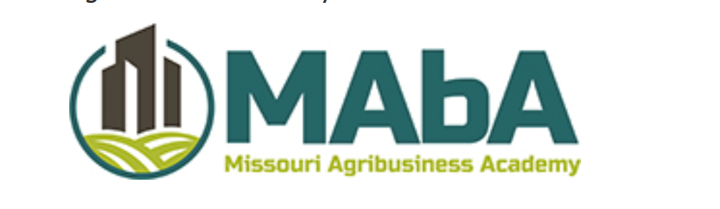 Screenshot 2025 11 20 142714