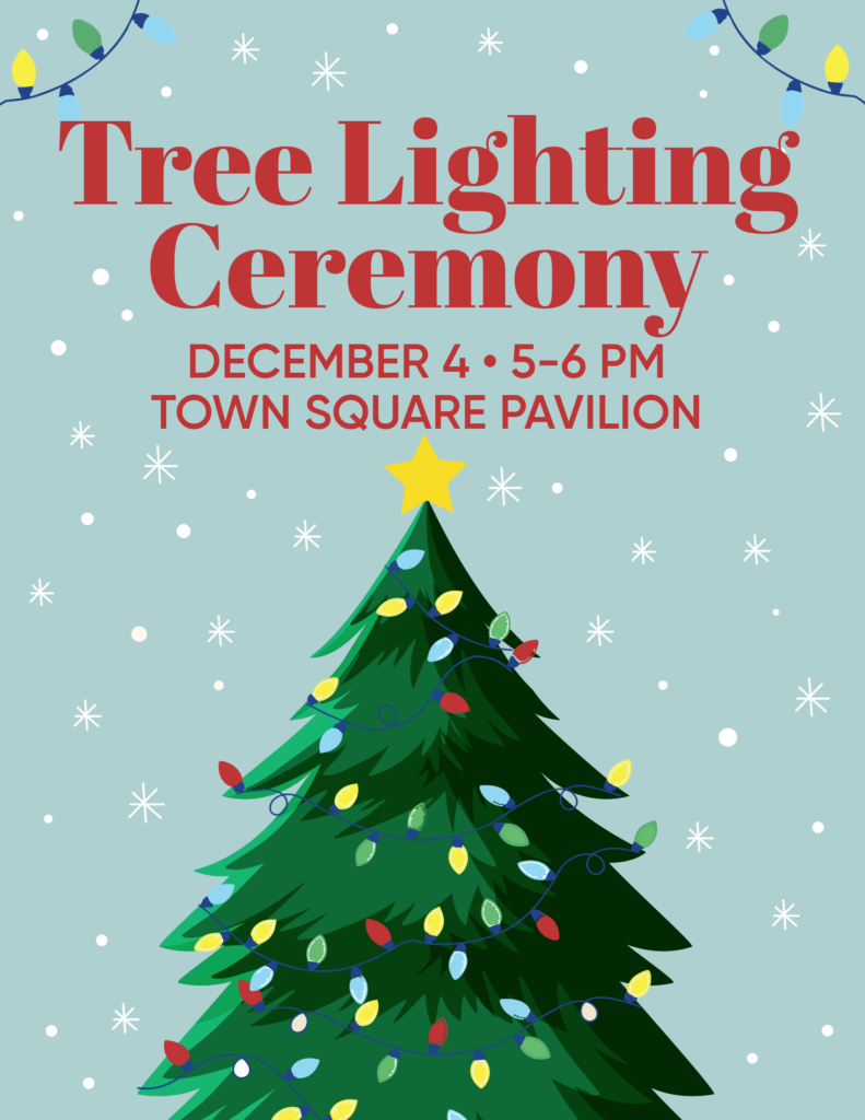 Source City Of Carbondale 3