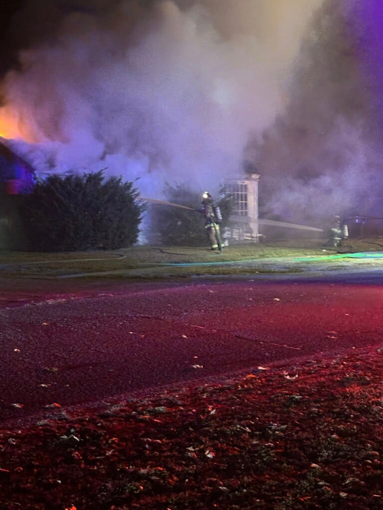 584004838 1257984449696117 803065136803349056 N