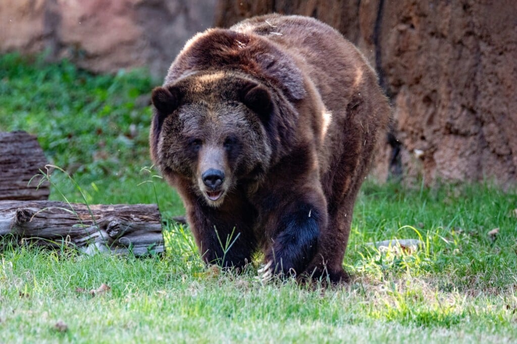 600322717 1370181325150218 551106067676589009 N