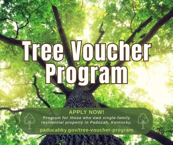 597344841 1298278179010777 1470827113273087906 N