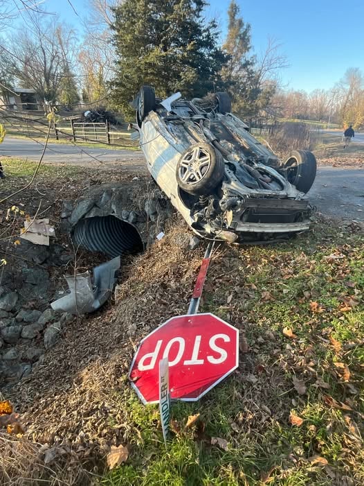 596133282 1170139948603840 786667300196349193 N