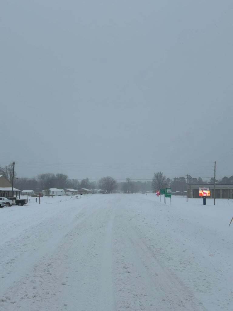 617979376 1335673785261347 1168700997599169804 N