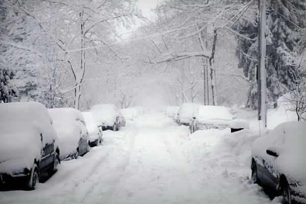 Screenshot 2026 01 25 110820