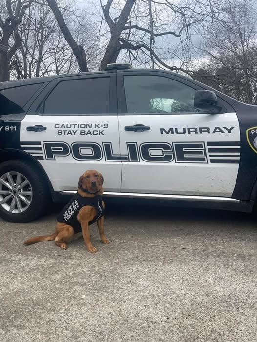 643310472 1355847239914644 8482224803804954633 N