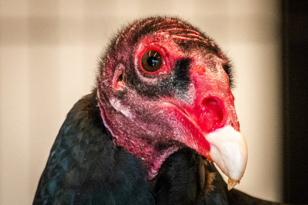 643338422 1320549103444976 3290147115127290261 N