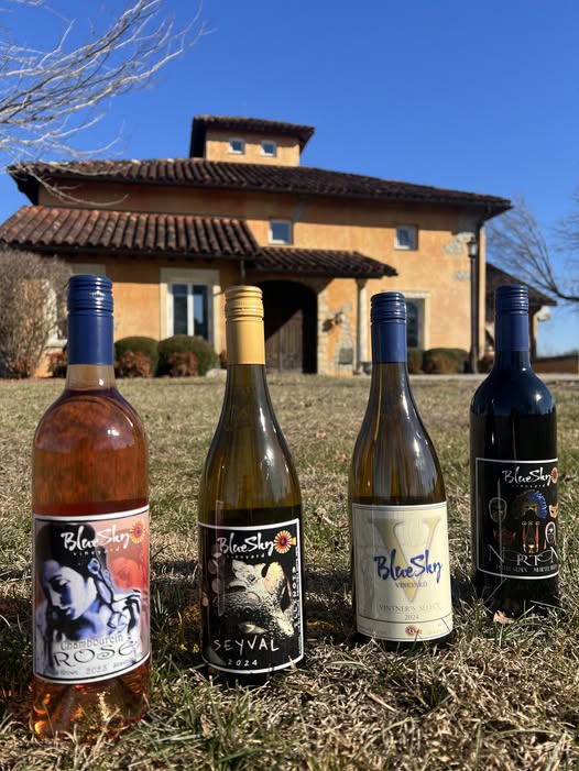 617607442 1352388050254506 600500870128549107 N