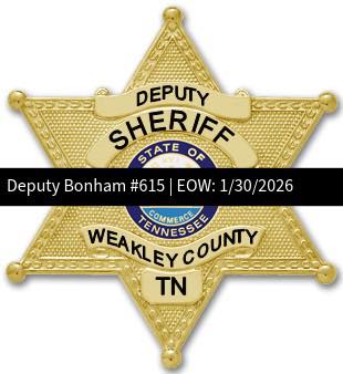 624762884 1204172421905621 7931275371864347025 N