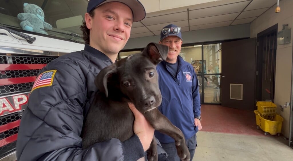 Image 2026 02 25t120639522