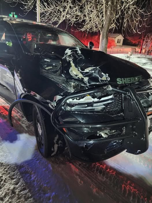 624530501 1342672804561445 1541816929478527427 N