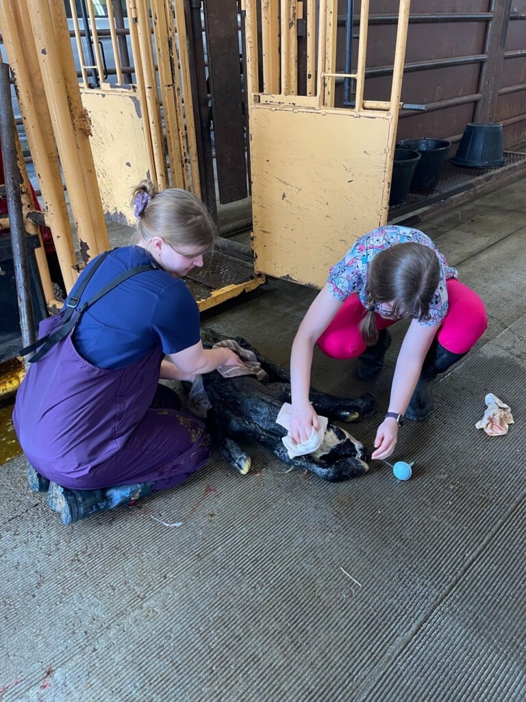 647362559 1980111842825218 6529516921988831507 N