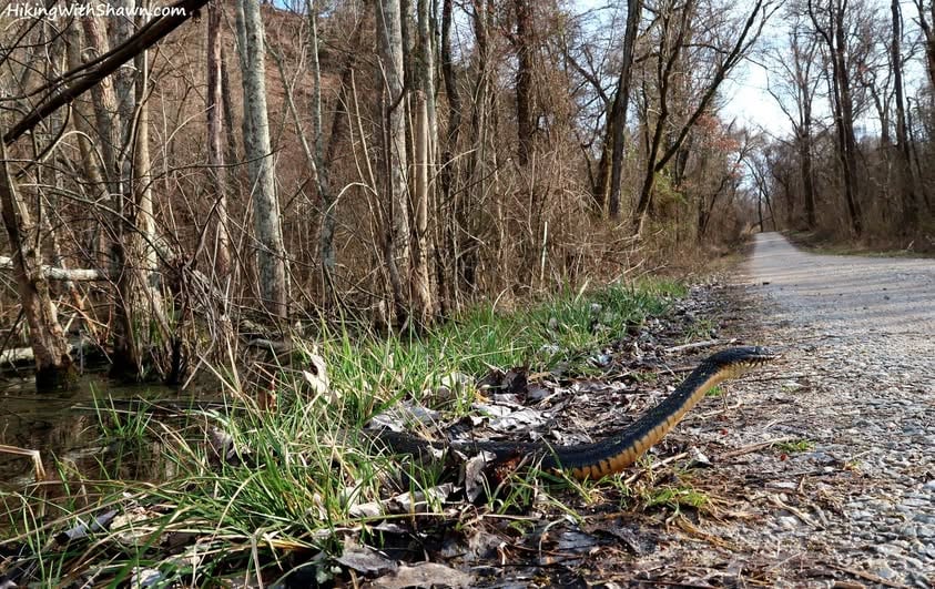 492329131 1094103906089063 3289343662583799763 N