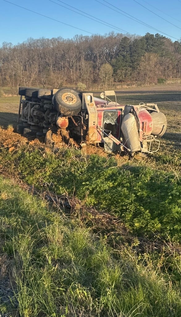 657055373 1250603640557470 6656103138217349313 N