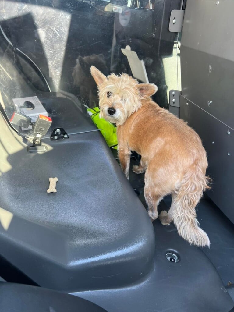 653755852 1235074818800698 5702376059594116409 N