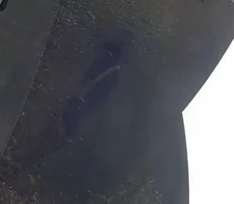 Screenshot 2026 03 16 073416