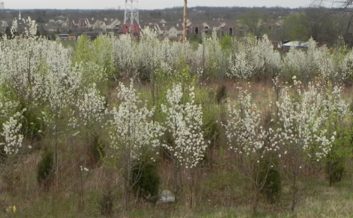 Screenshot 2026 03 16 085741