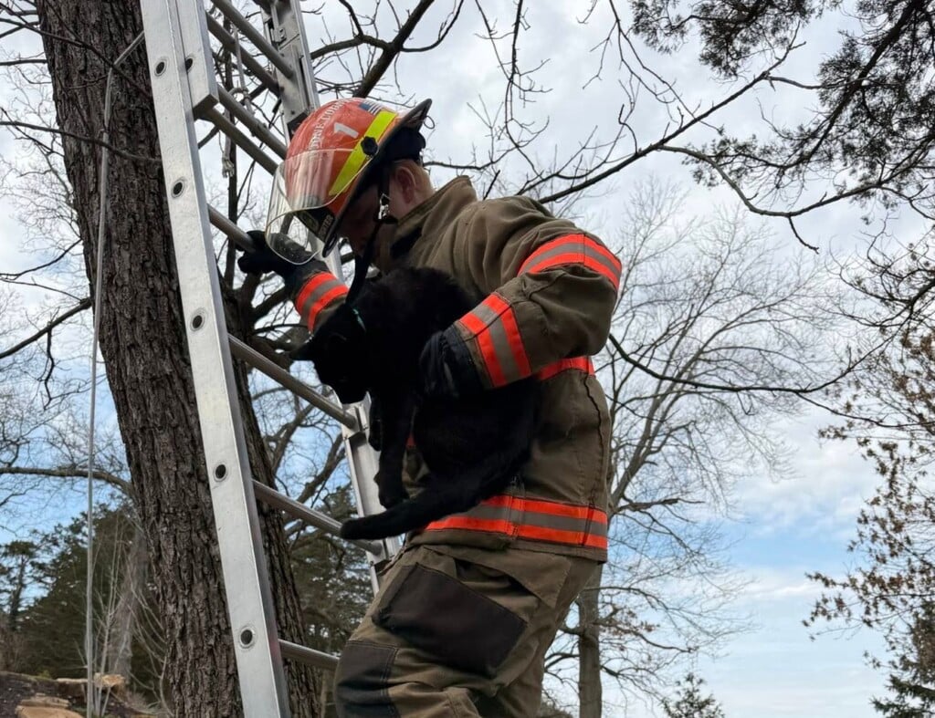 648299439 932022996143525 1882968189368113629 N