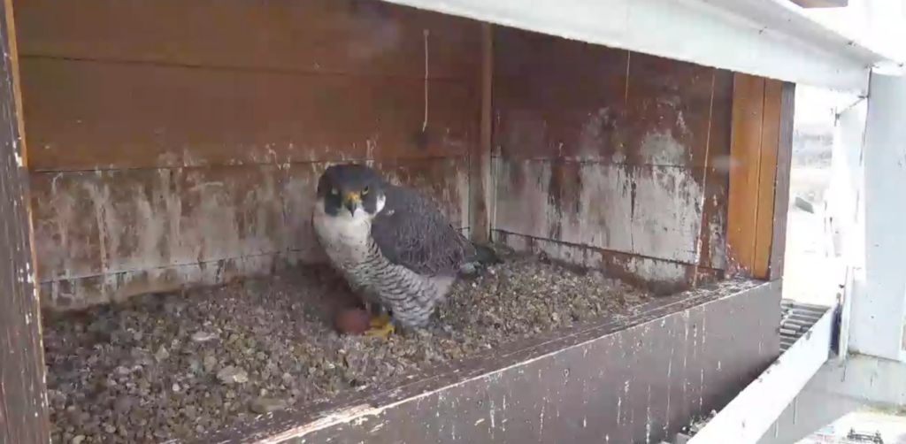 3b8a6f42 F16e 4dab 8942 635a21b0bb76