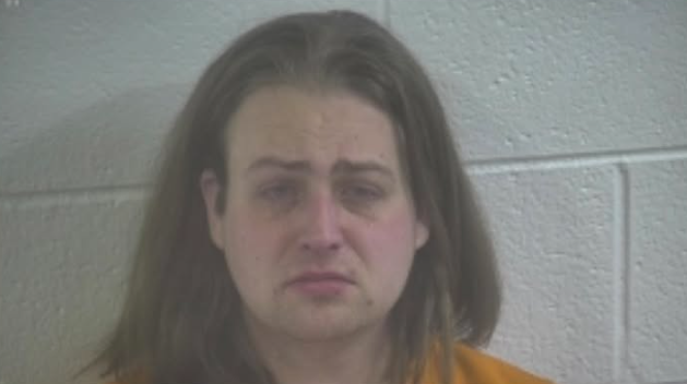 Screenshot 2026 03 25 084645