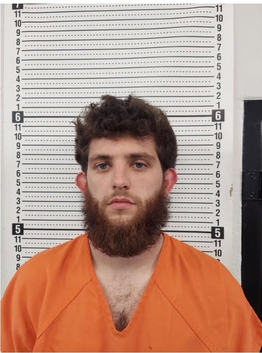 653710153 122296257410070531 3204834973231745869 N