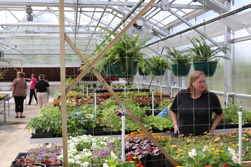 674336754 1417467323749641 8867342086584135627 N