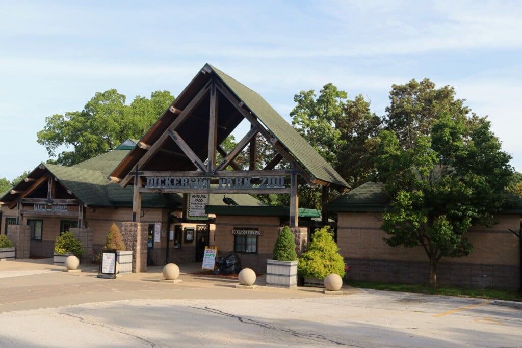 515206076 1148905737273385 1257032896679507223 N