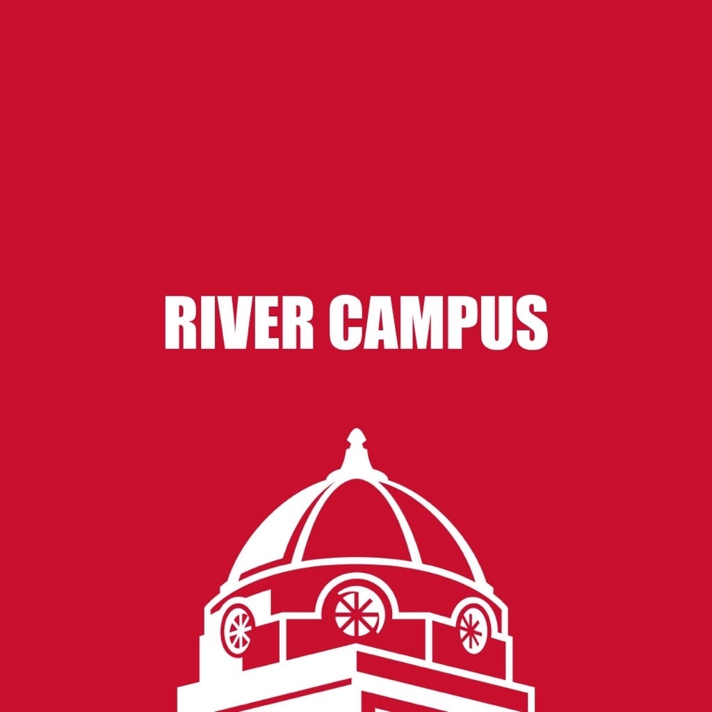 568407190 1359611046174471 4459270880094152378 N