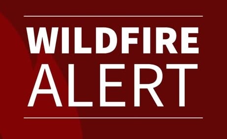 661636200 1242118431430861 9055530676012019735 N