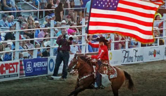 Screenshot 2026 04 16 114706