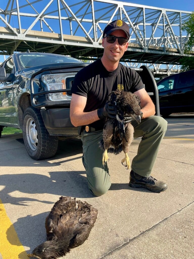 677191085 1460623029425359 5379185073399369997 N