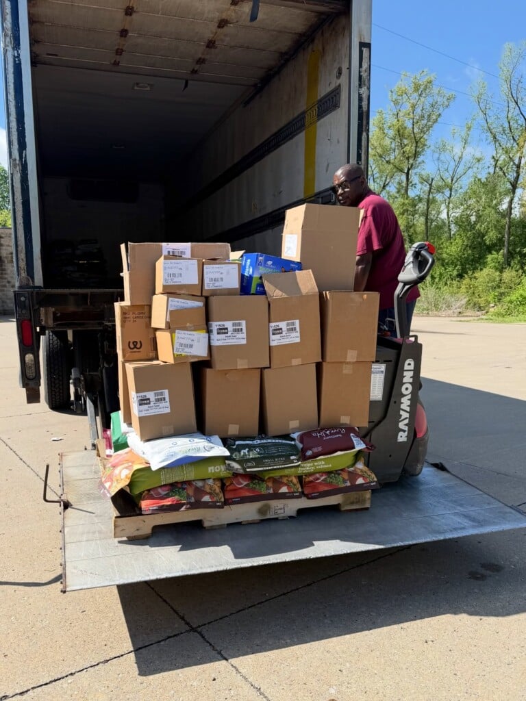 670822641 18566708359022832 9192215659540743651 N