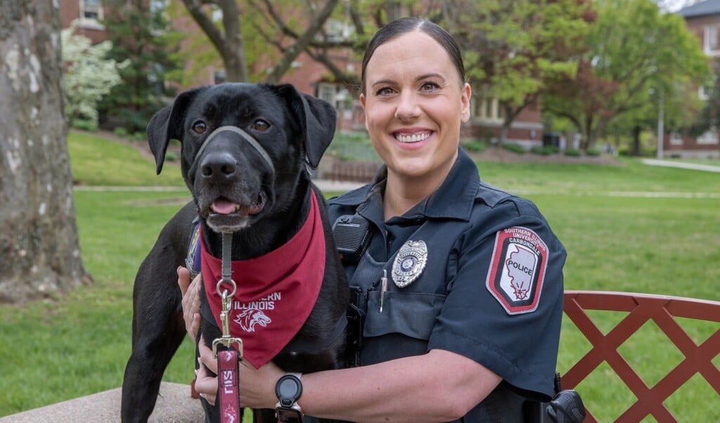 668079433 943507671869601 3553174377906707487 N