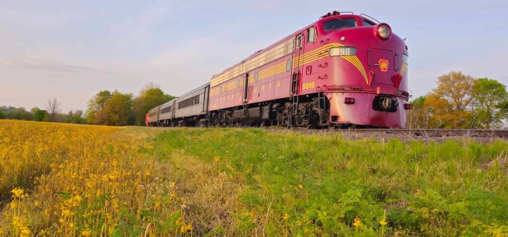 672679033 1389401309887473 5991556221372660506 N