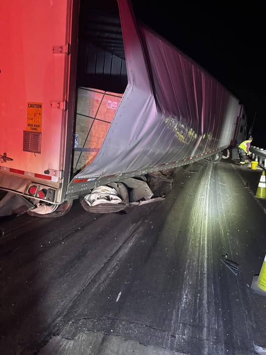 658999446 1366484275519373 20256134239919488 N