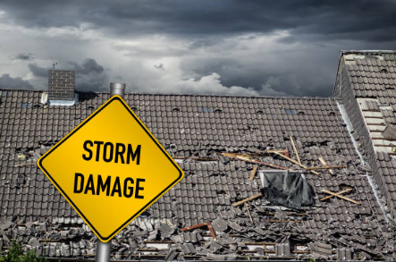 Screenshot 2026 04 28 075524