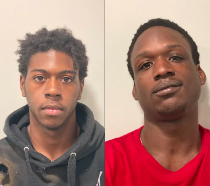 Screenshot 2026 04 02 122333