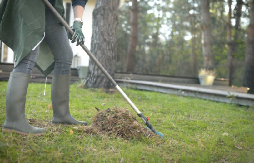 Screenshot 2026 04 15 133402