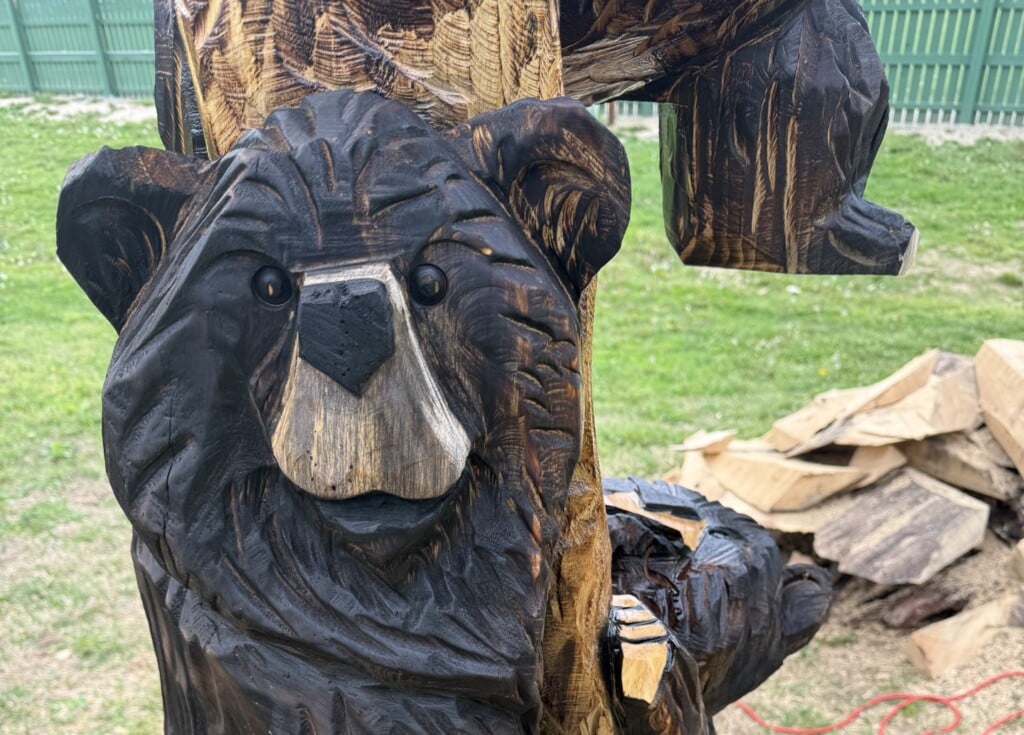 672246470 1711097910277605 5150018924494848979 N